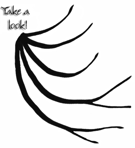 Take a look!